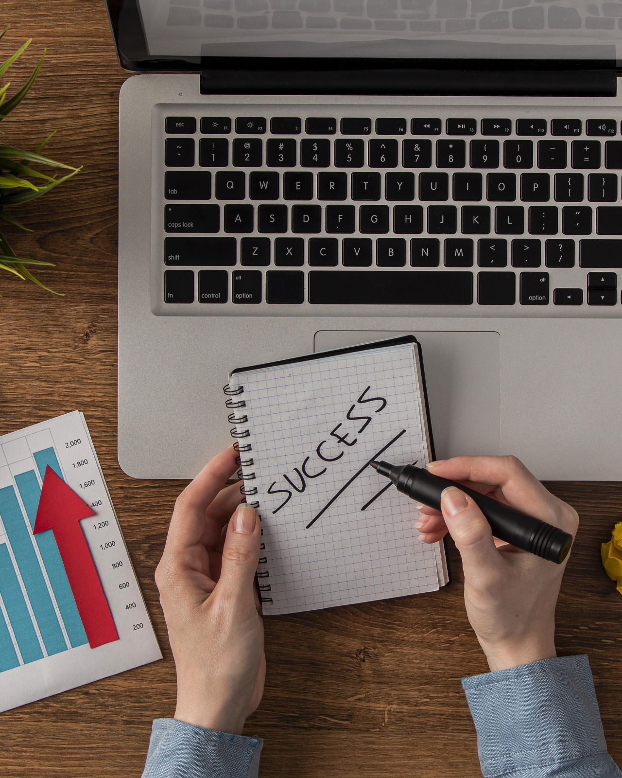 eCommerce Strategy & Growth